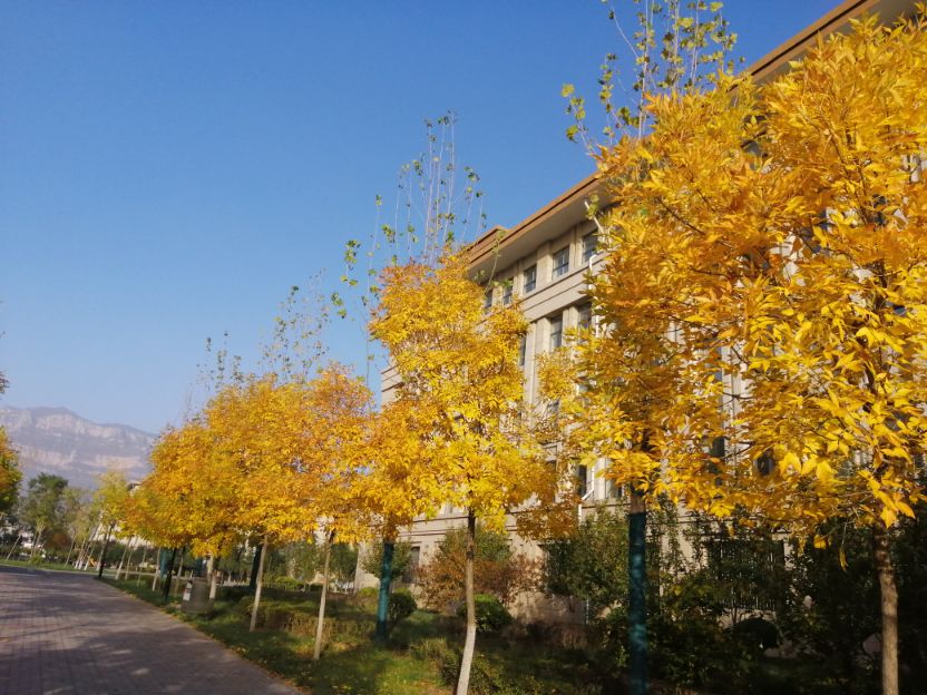 弘扬社会正气的作文议论文素材,弘扬浩然正气传递正面能量作文