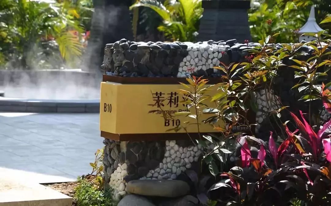 台山颐和温泉酒店私人泡池,台山颐和温泉酒店特价