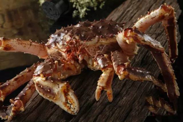 合肥必吃的十大餐厅推荐,合肥最贵的馆子