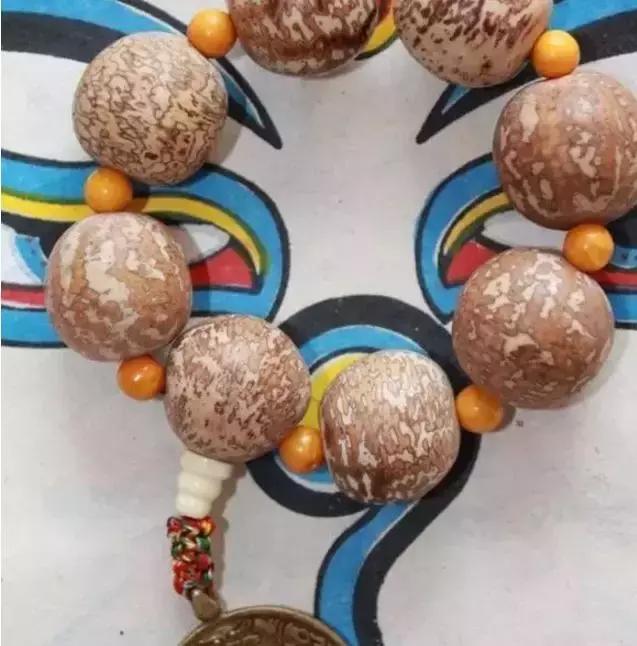 最全的菩提子图解太美了,最好的菩提子