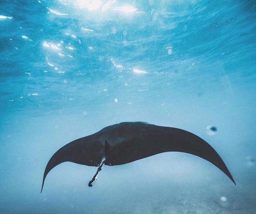 马代一价全包a级浮潜岛,马代一价全包伊露岛