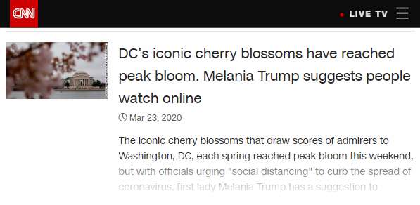 樱花的日文怎么说,樱花的英文是什么