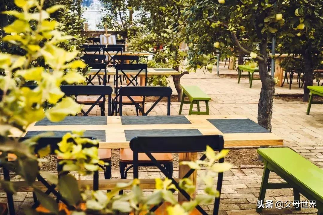 国内不太偏的亲子小众旅游 (全球最适合亲子游的十大旅游胜地)