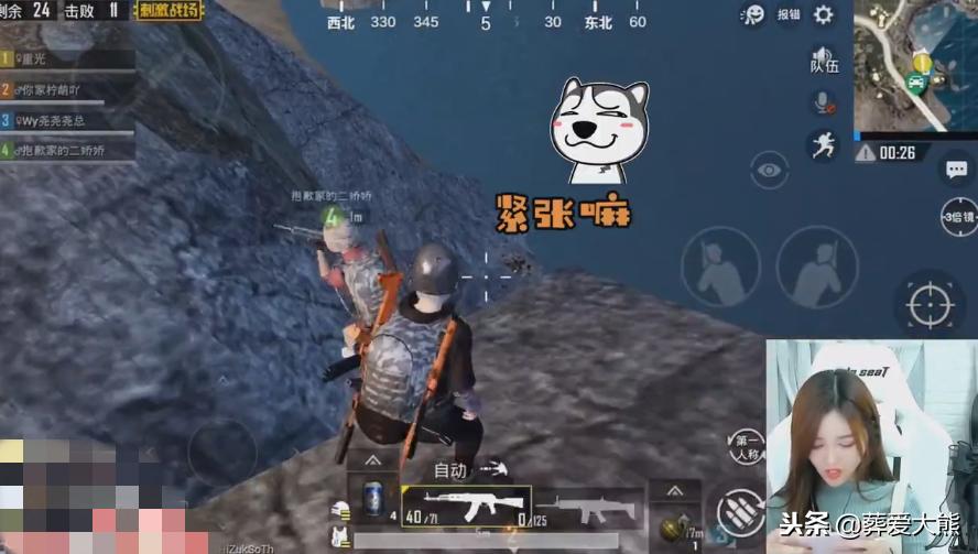 柔柔在舔盒子的途中，把自己淘汰了，队友想抢救都没有机会！