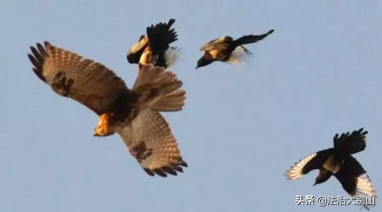 颠覆你认知的16个买房冷知识,广西十大颠覆你认知的冷知识