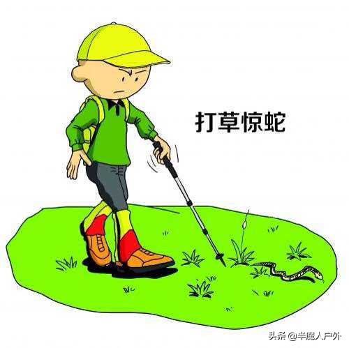野外生存的知识有哪些,农村常见的蛇类你都认识吗