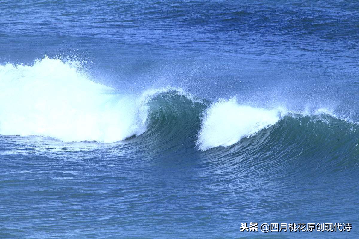 表达对故乡大海的眷恋的现代诗,对大海的眷恋的短现代诗