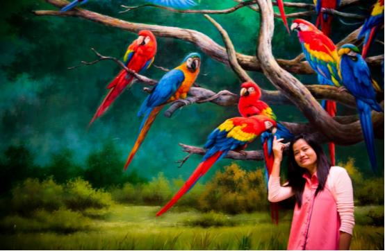 泰国芭堤雅旅行买什么回去,泰国芭提雅旅游攻略大全