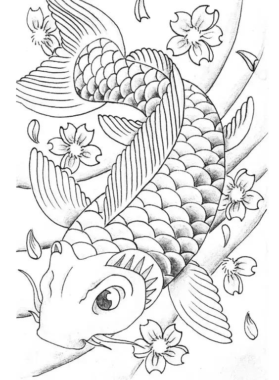 转运锦鲤简笔画,简笔画100种锦鲤图片