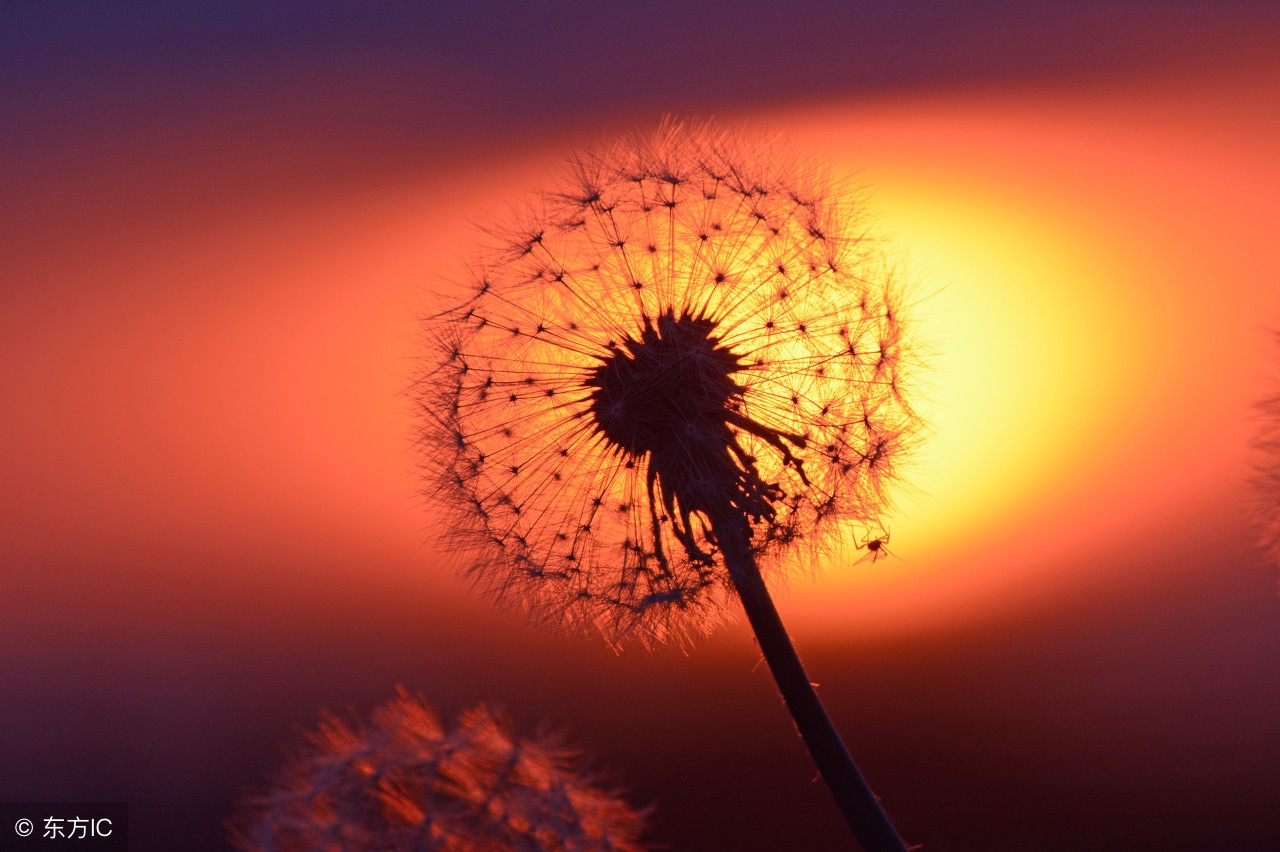 感悟人生的哲理句子10个字,佛说看透人生感悟人生的经典句子