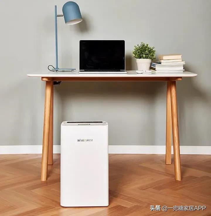 趁回南天还没杀到,我赶紧做了「*湿机除**」功课!(附屋主推荐款)