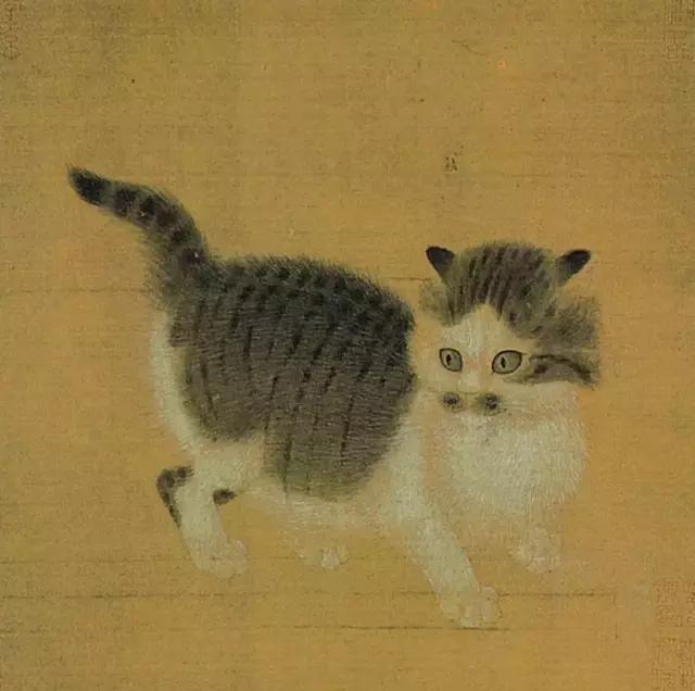 故宫十大御猫小崽儿,历史上真实的故宫御猫