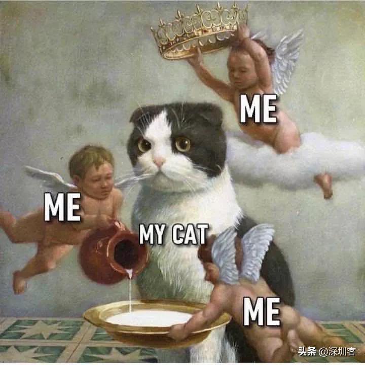 何以解忧唯有撸猫头像,何以解忧唯有撸狗