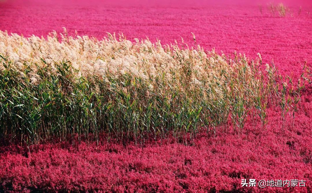 60岁之前要去的十大地方,一生中必去的中国50个最美的地方