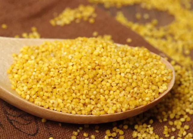 小米粥凉水下还是开水下米,小米粥冷水下米还是水开米