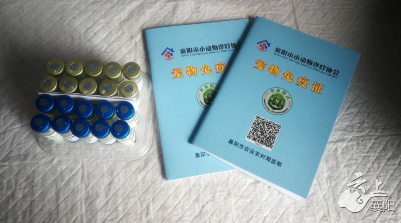 为啥狗狗打完疫苗没有抗体,襄阳办狗证狗狗没打疫苗