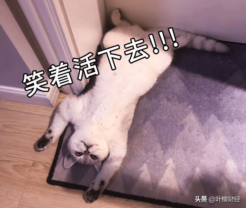 定投指数基金的技巧与方法,目前定投选择什么指数基金好