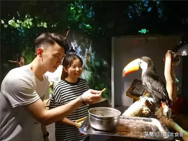 合肥动物园值得看的地方,合肥最好玩的动物园是哪