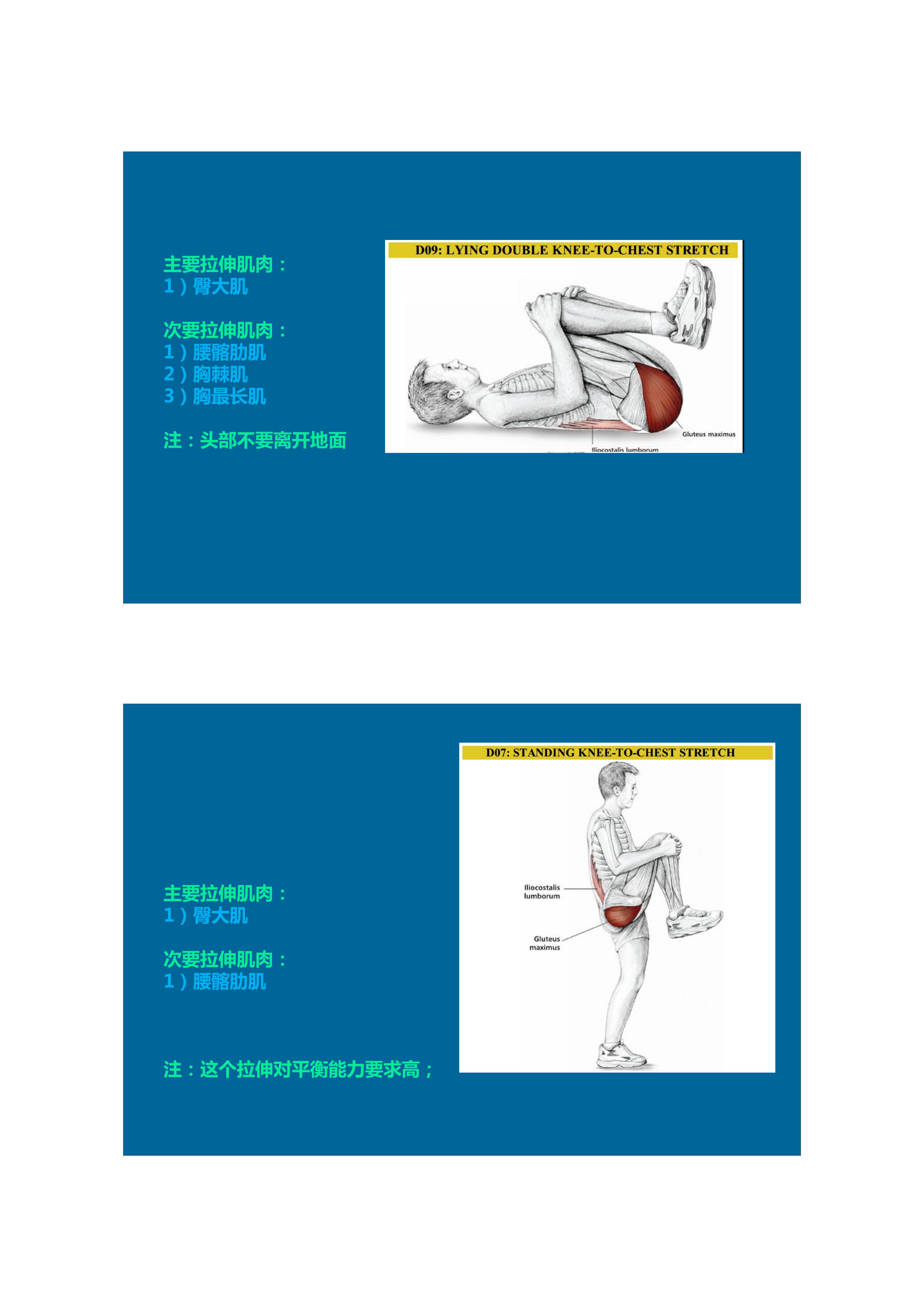 拉伸动态块制作技巧,泰式后背拉伸技巧视频