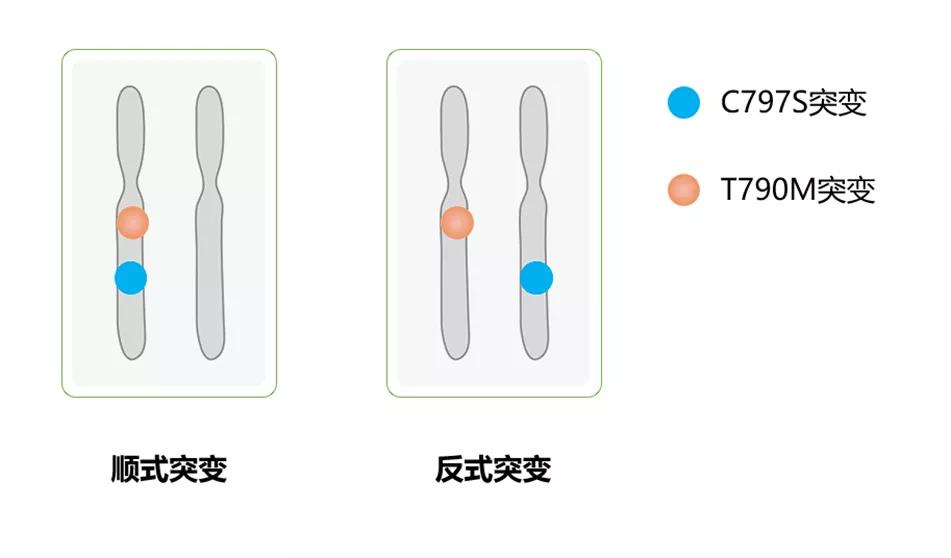 一代药一定比三代药副作用大吗,一代三代靶向药一起吃