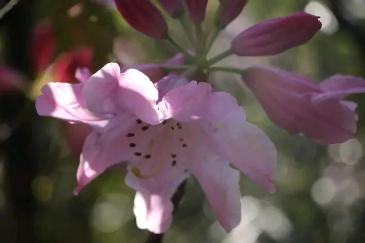 善良永远是最幸福的人,为什么越善良的人越得不到幸福