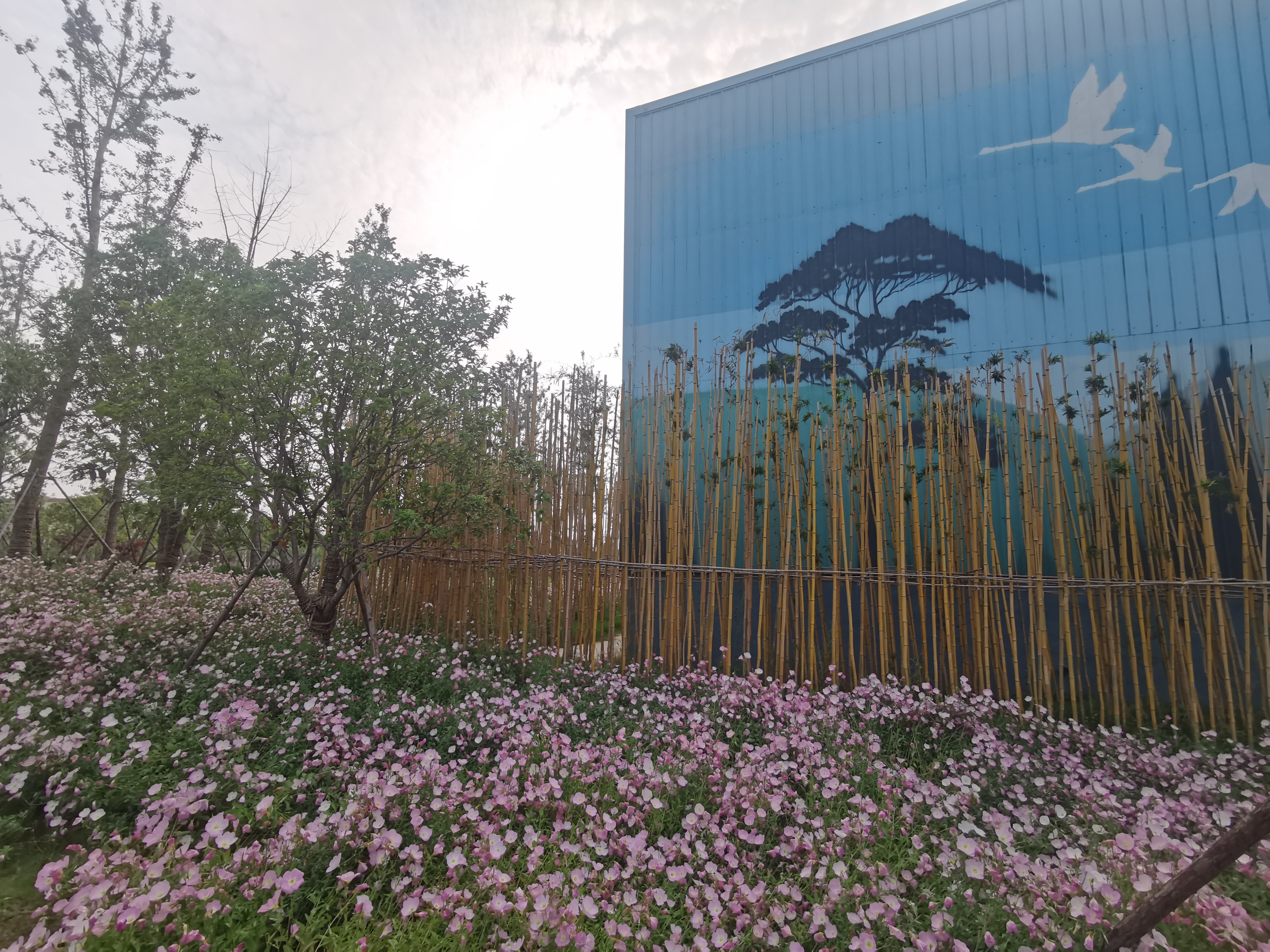 曾经的脏乱差变成了现在的新景观,从面目全非到焕然一新