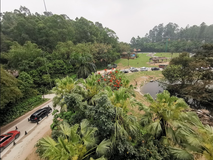 长隆野生动物园自驾车收费,长隆野生动物园儿童要票吗