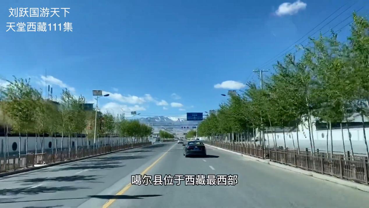 天堂*藏西**-好吃的草成了扶贫开发的头号工程，牛羊就快乐起来啦