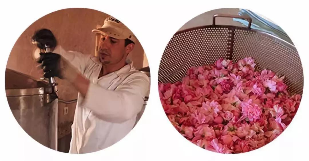 丹泽欧雅,丹泽欧雅富勒烯多肽焕颜面膜