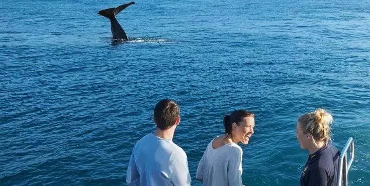 新西兰自驾旅游攻略,新西兰北岛到南岛自驾攻略