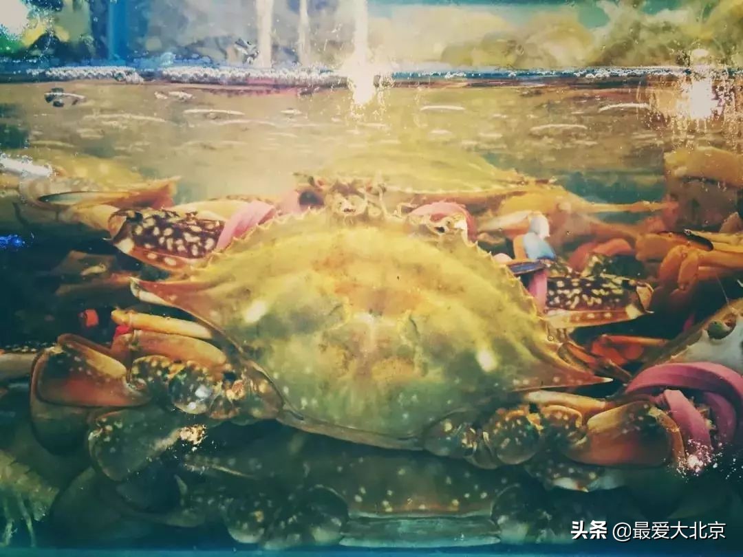 老街坊们,静安市场回来了