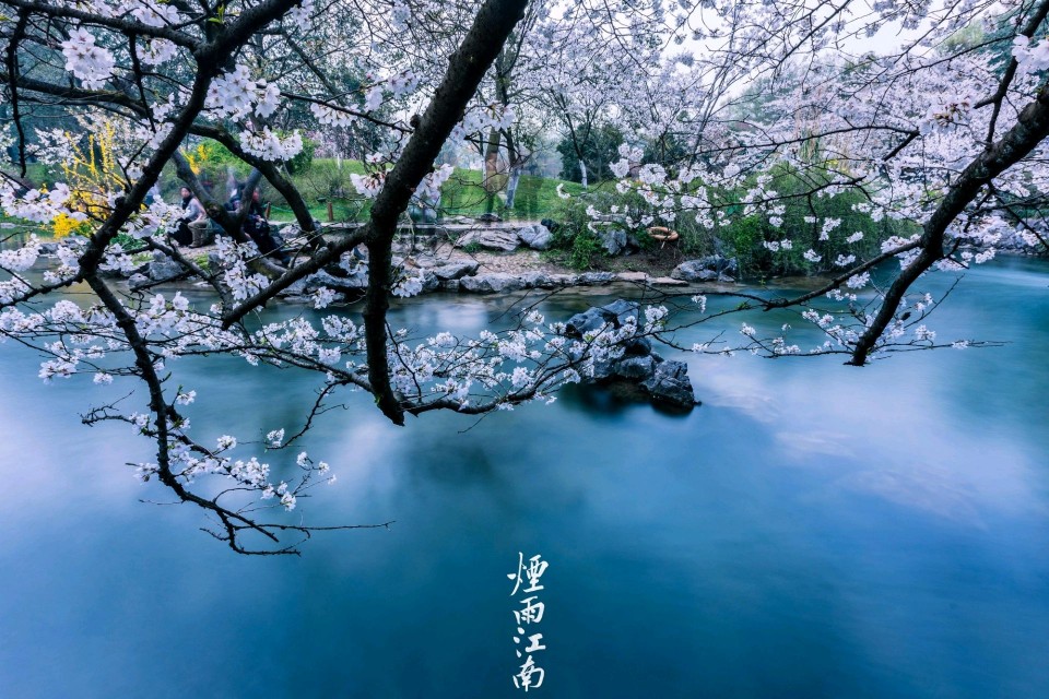 我在江南烟雨中等你,我在江南烟雨中等你歌曲