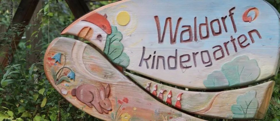 国家对华德福的态度,华德福在中国的发展历程