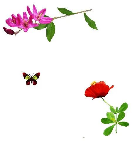 许愿就必须用相应的任务来还愿,许愿是一件很神圣的事情