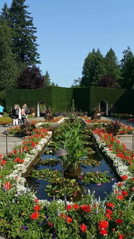 布查德花园的秋冬季,全球最美花园布查特花园