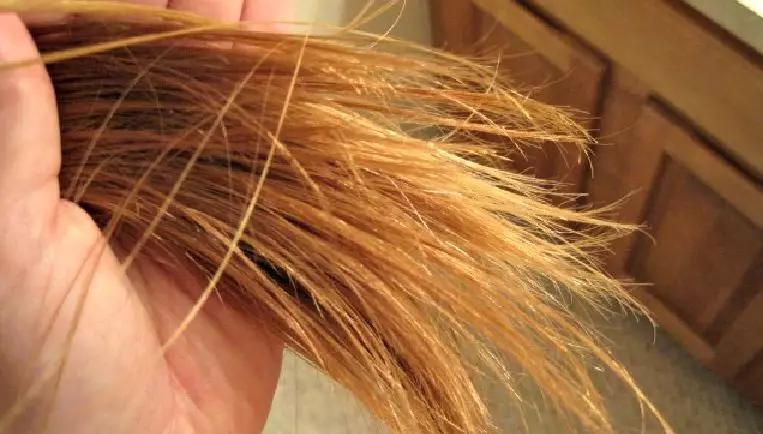 染发头发干枯毛躁怎么护理,头发干枯毛躁护理妙招