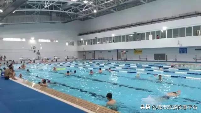 收藏游泳视频下载,冬季游泳大全