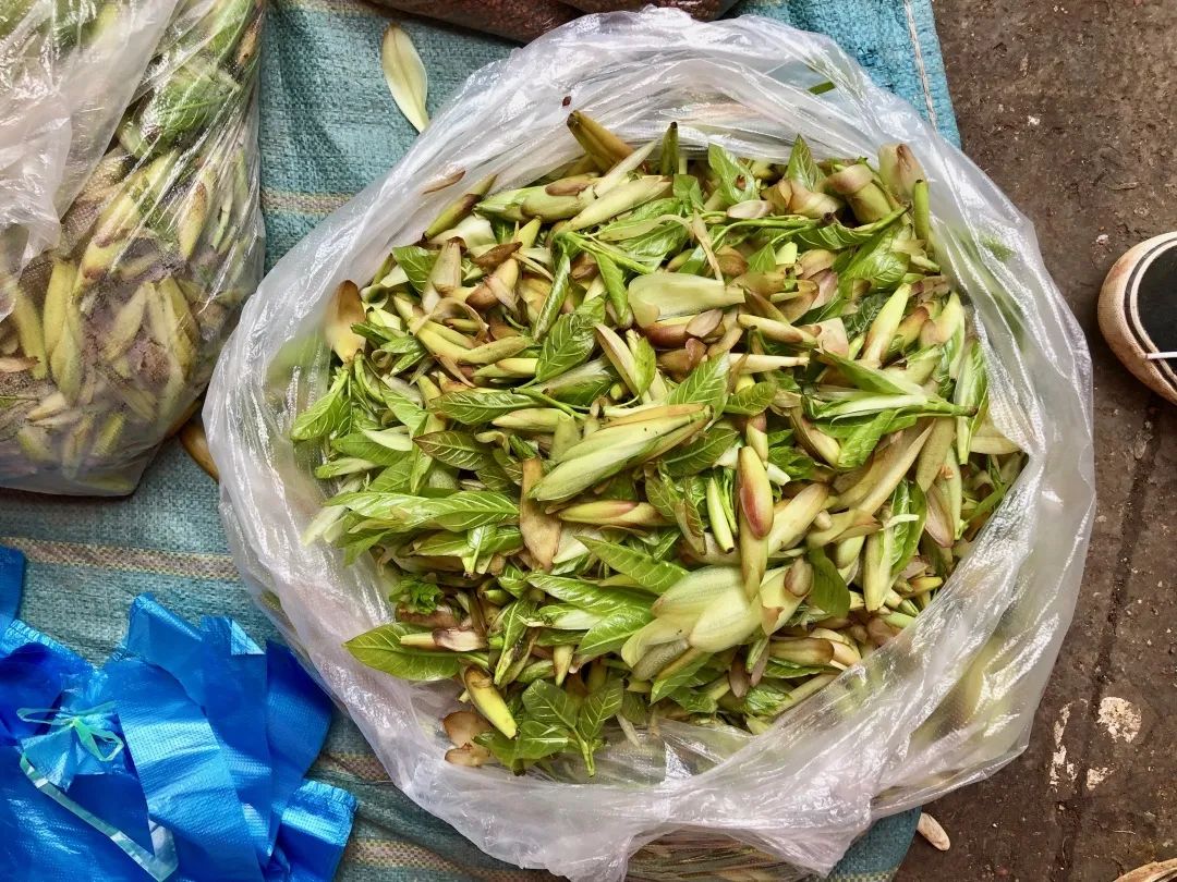 云南人最认同的本地食材,外省人来云南没有见过的菜