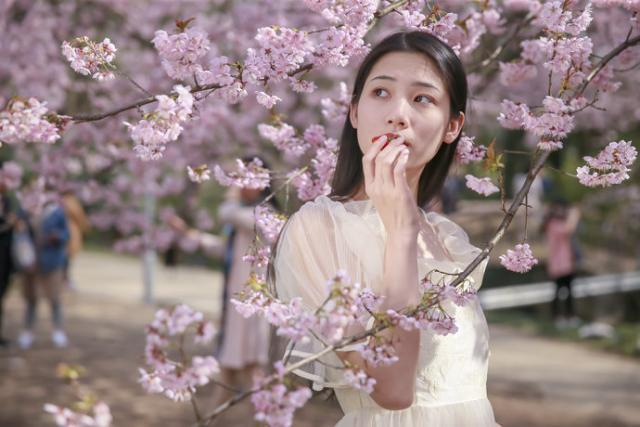 他外号大总管，用各种理由让小说烂尾，但是一完本就是神作