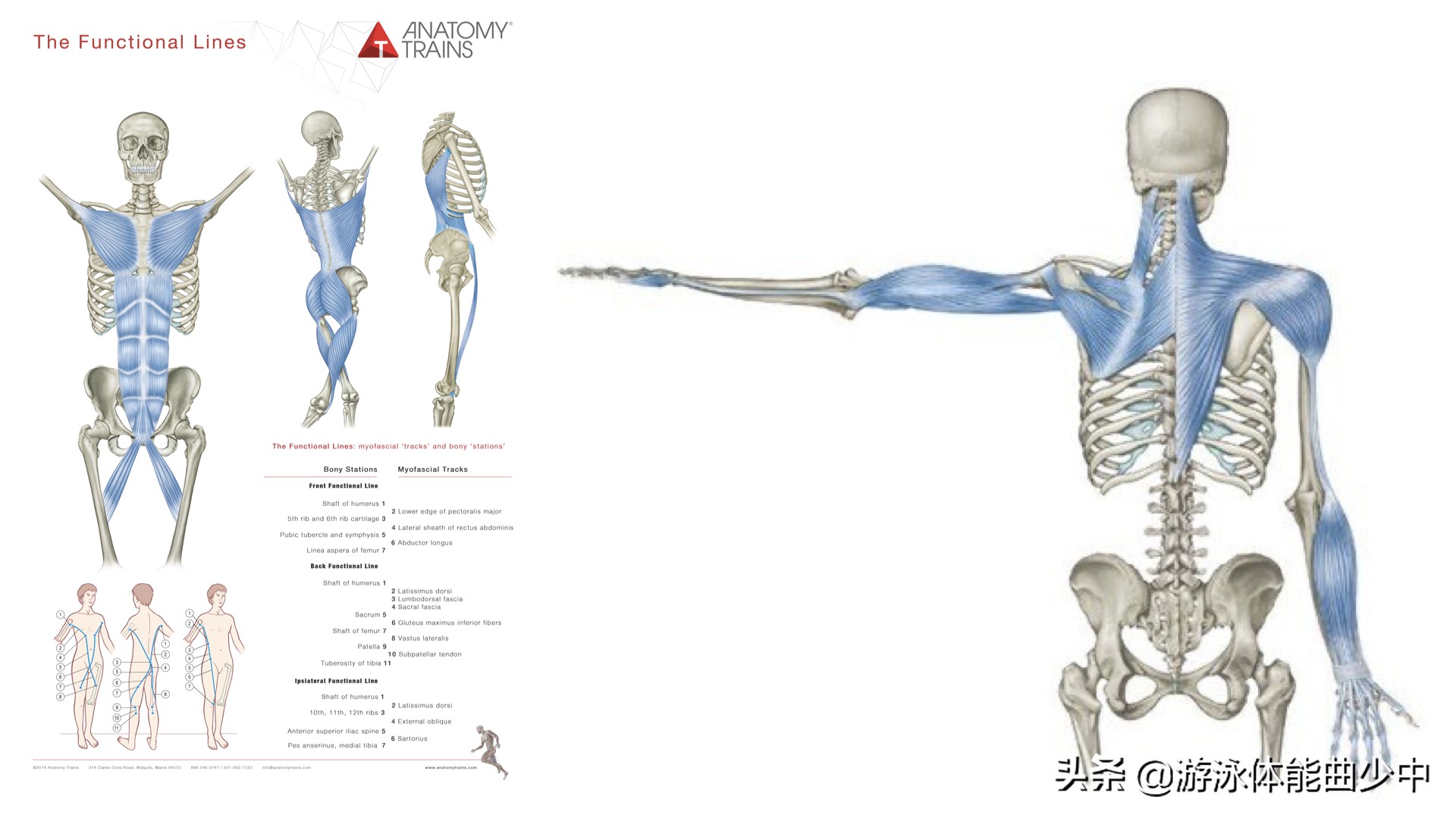 游泳初学者会有什么问题,游泳初学者的常见误区