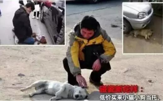 碰瓷新套路专挑双向两车道作案 (贵阳碰瓷套路真实案例)