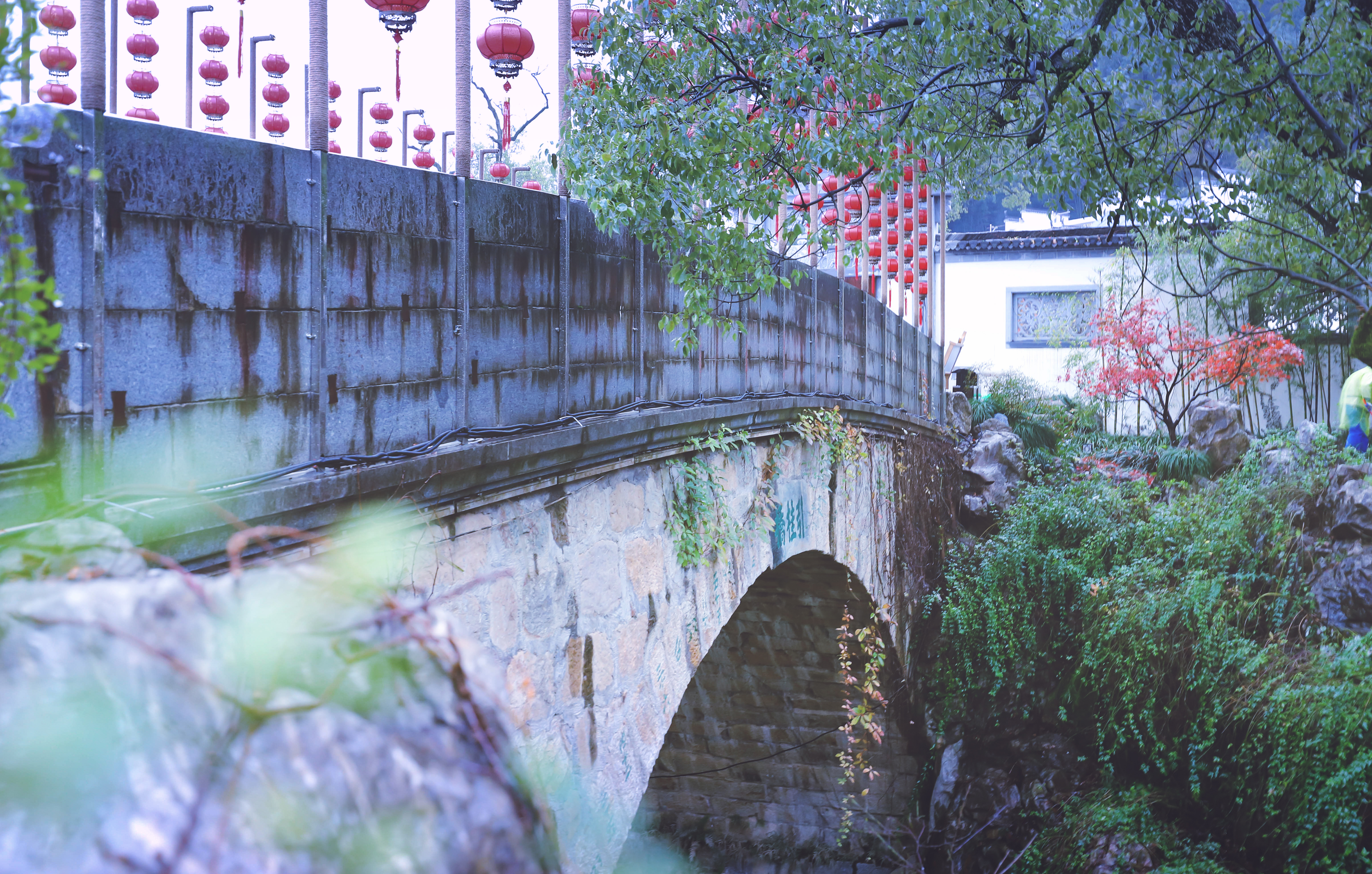 婺源熹园全景,婺源熹园宾舍门票