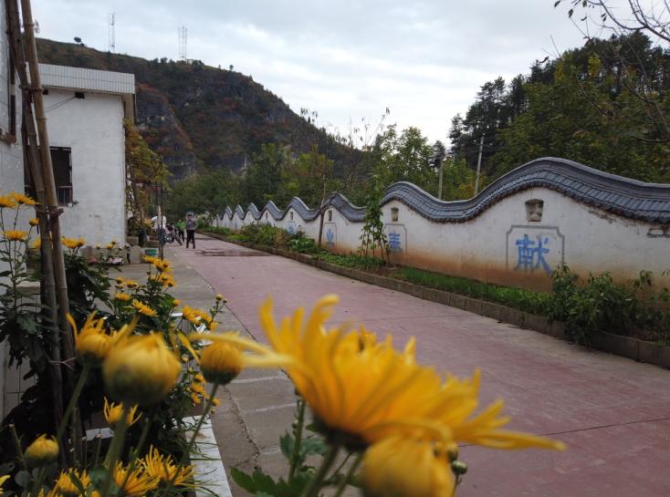 缇庝附涔℃剚涔℃潙缁垮寲鍥剧墖,缇庝附涔℃潙涔℃剚鏅