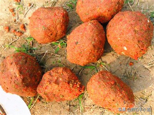 如何正确的打窝,如何正确打窝