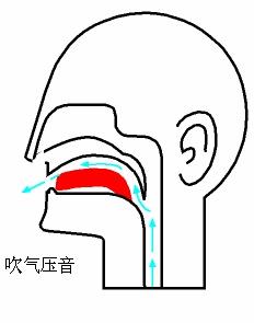 24孔复音口琴压音技巧和方法