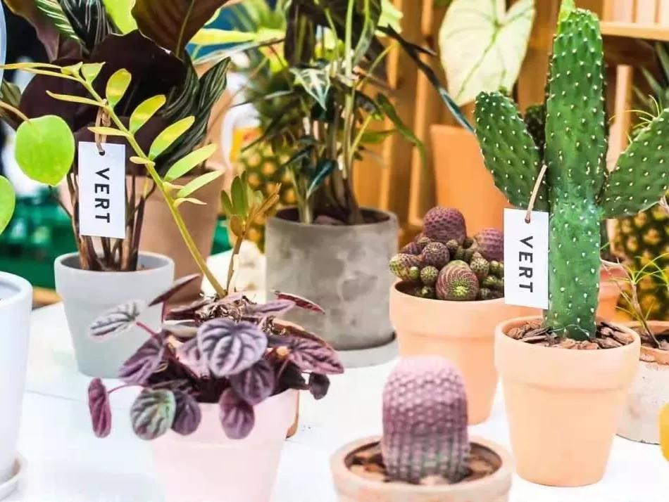 和奥运冠军杨倩合影,杨倩家乡观看奥运会