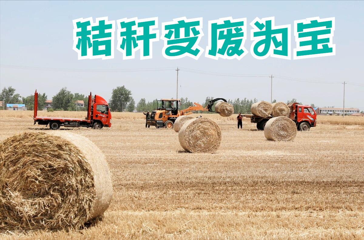 秸秆回收要怎么干最赚钱,小麦秸秆回收一年40万