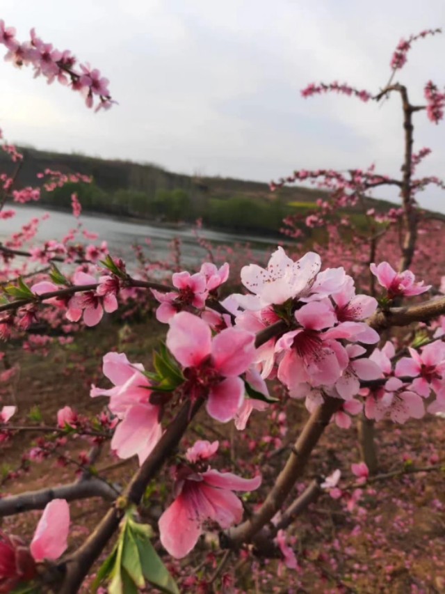家里有个管家婆的时候真幸福,家里有个管家婆真幸福