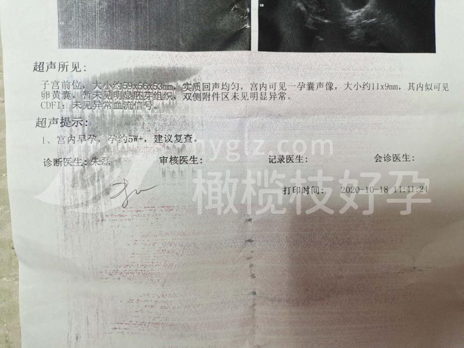 经典案例，试管小白必看，让你少走弯路