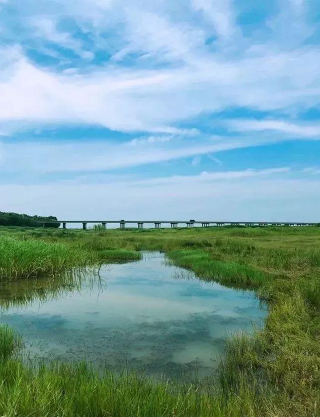 在武汉生活的100条“*规则潜**”，正宗的武汉人也未必知道